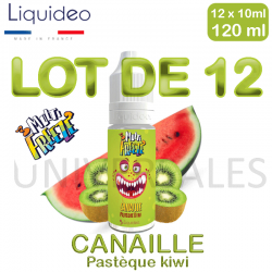 E liquide CANAILLE lot de 12