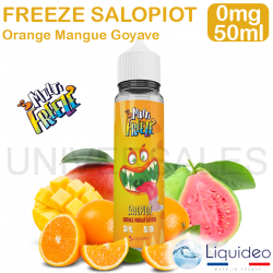 E LIQUIDE LIQUIDEO SALOPIOT