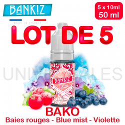 E Liquides BAKO lot de 5