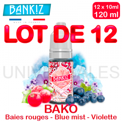 E Liquides BAKO lot de 12