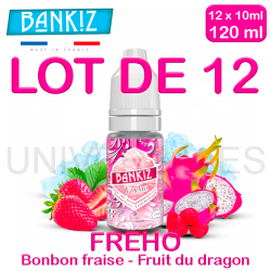 E Liquides FREHO lot de 12