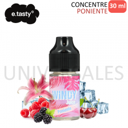 Concentré PONIENTE WINDY JUICE 30ml