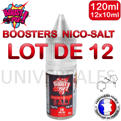 Boosters de sel de nicotine lot de 12